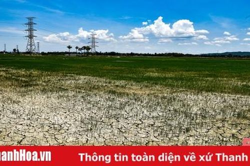 Nắng nóng đặc biệt gay gắt tại Thanh Hóa, có nơi trên 40 độ C