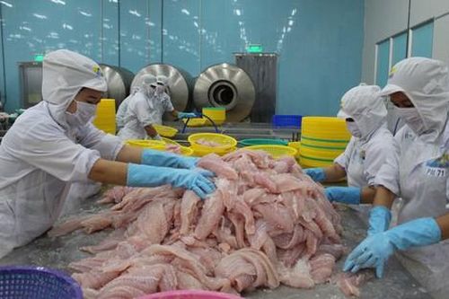 Tháo gỡ vướng mắc để doanh nghiệp đón cơ hội vàng từ CPTPP