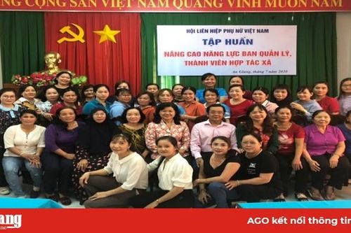 Nâng cao kiến thức cho cán bộ Hội Phụ nữ về hợp tác xã, tổ hợp tác