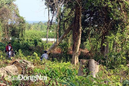 Kỷ luật cảnh cáo nguyên Giám đốc Khu bảo tồn thiên nhiên- văn hóa Đồng Nai