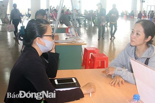 Doanh nghiệp nhiều lĩnh vực tham gia tuyển dụng