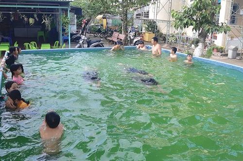 Phổ cập bơi cho gần 90 học sinh