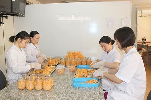 Đẩy mạnh nghiên cứu khoa học, tạo sức hút trong hoạt động đào tạo