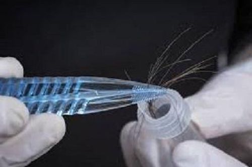 Tìm ra cách xét nghiệm hormon sinh sản của phụ nữ trên tóc