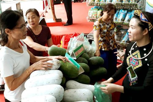 Bắc Kạn đưa nông sản sạch về thị trường Thủ đô