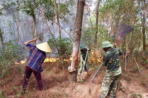 Hơn 500 cán bộ, chiến sĩ nỗ lực chữa cháy rừng