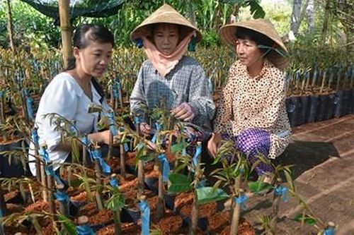 Chấm dứt tình trạng 'thật giả lẫn lộn'