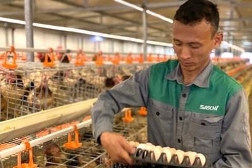 Kinh tế những tháng cuối năm-nhiều cơ hội tăng tốc