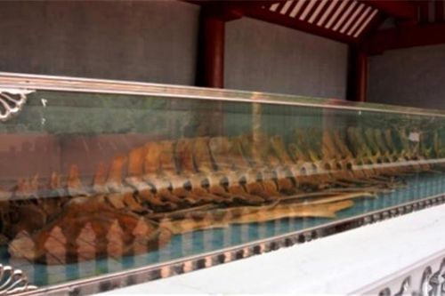 Ngôi đền thiêng thờ cá Ông nơi làng biển