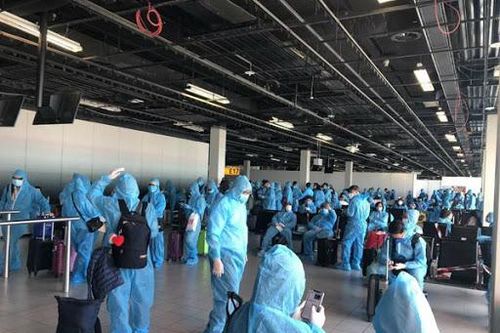 Thêm một chuyến bay từ Singapore đưa 240 công dân Việt Nam về nước