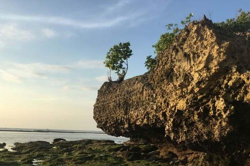 Ta không cần Mặt trời nữa