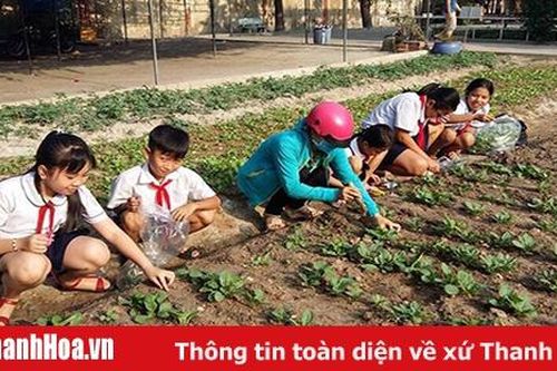 Làm gì với những ngày hè?