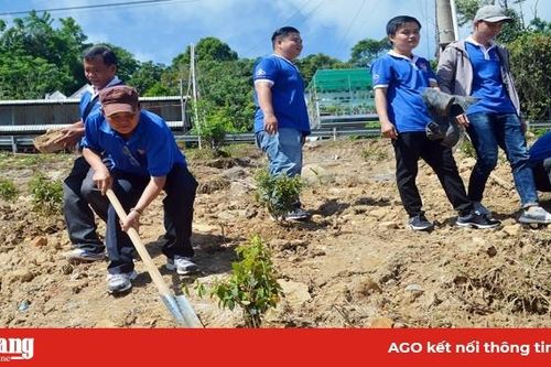 Trồng sim và tặng quà cho học sinh nghèo trên núi Cấm