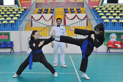 87 VĐV tranh tài tại Giải Vô địch Võ thuật Cổ truyền tỉnh Lâm Đồng