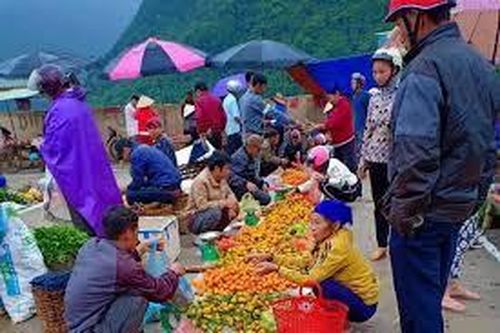 Thực trạng sản xuất và tiêu thụ nông sản đặc trưng, đặc sản ở huyện Bá Thước, tỉnh Thanh Hóa