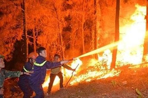 Đề xuất Chính phủ xây dựng dự án tăng cường năng lực phòng cháy chữa cháy rừng