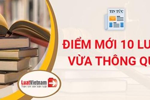 Công bố Lệnh của Chủ tịch nước về 10 luật vừa được Quốc hội thông qua