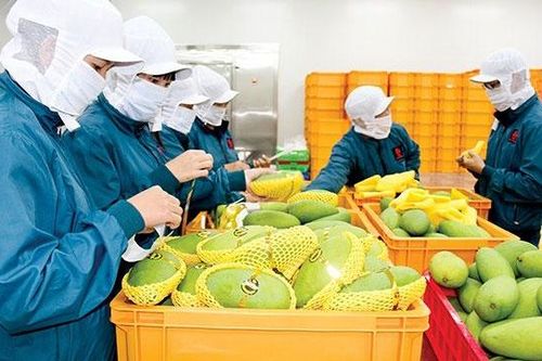 39 mặt hàng của Việt Nam được EU bảo hộ chỉ dẫn địa lý