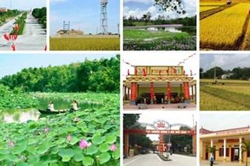 NỖI NIỀM HOA KHÔ