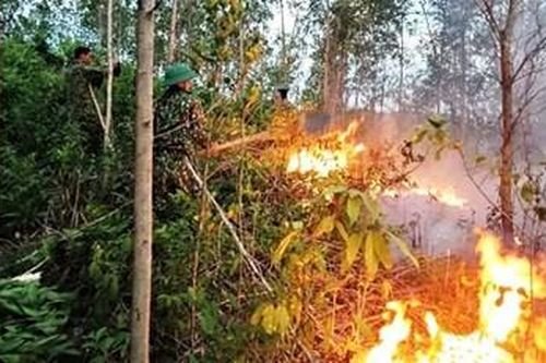 Hơn 200 cán bộ, chiến sĩ Sư đoàn 968 giúp bà con nhân dân chữa cháy rừng