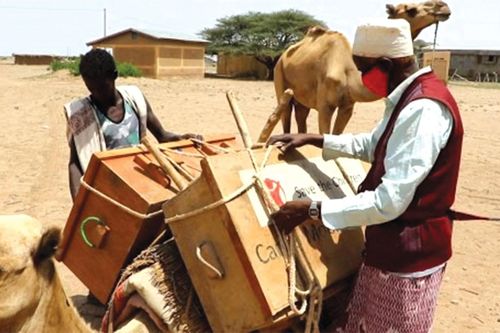 Thư viện di động ở Ethiopia