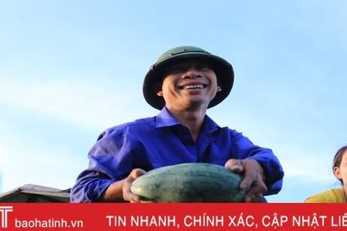 Mê dưa, người đàn ông ở Hà Tĩnh 'chơi lớn' trên đồng đất cát