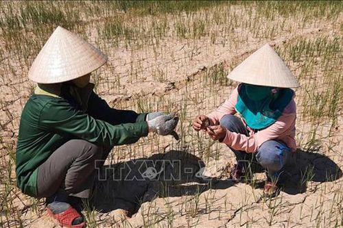 Thời tiết ngày 12/7: Từ Thanh Hóa đến Phú Yên nắng nóng gay gắt