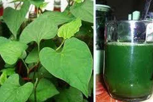 Con ho, sốt tới mấy mẹ chỉ cần 1 bát nước này cũng có thể khỏi ngay lập tức