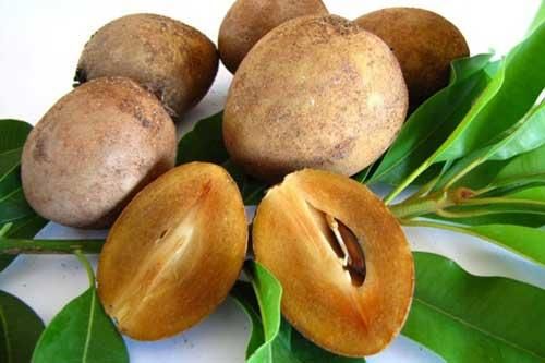 Vì sao dù đắt hay rẻ bạn cũng nên bỏ tiền mua hồng xiêm về cho cả nhà ăn