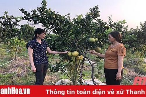 Phát huy vai trò lãnh đạo của Đảng trong phát triển kinh tế - xã hội ở xã Thiệu Lý