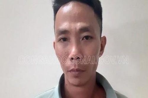 Bắt kẻ đập phá hàng chục ngôi mộ tại nhiều nghĩa trang ở Đồng Nai