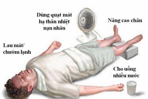 Dự phòng và xử trí say nắng, say nóng