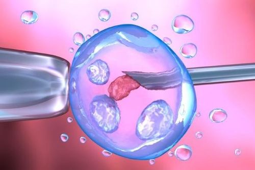 Xước niêm mạc tử cung không ảnh hưởng đến sinh thành công trong IVF