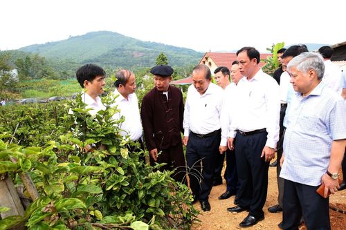 Phó Thủ tướng Thường trực thăm hộ đồng bào dân tộc Sán Dìu làm kinh tế giỏi