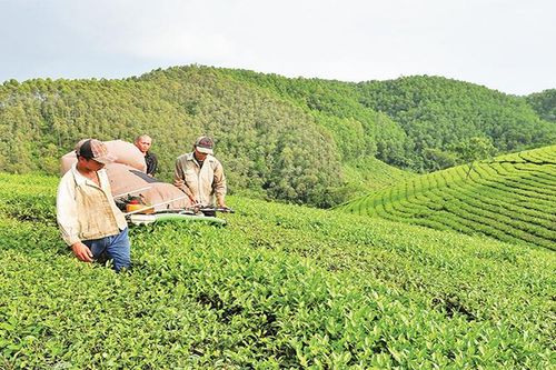 Hòa Bình tinh giản cán bộ gắn với chuẩn bị nhân sự đại hội đảng bộ các cấp