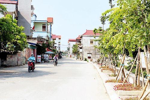 Mỹ Ðức nỗ lực đạt mục tiêu huyện nông thôn mới