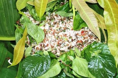 Nếm thử 'gỏi kiến vàng' - đặc sản có một không hai ở Tây Nguyên