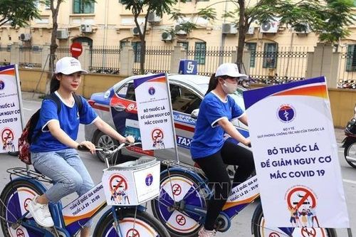 Công bố kết quả cuộc thi thanh niên Việt Nam nói không với thuốc lá