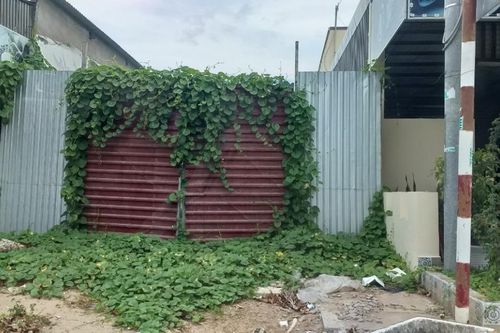 Phòng vệ chính đáng bị khởi tố, bắt giam