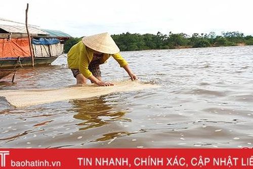 Lý giải nguyên nhân nước sông La ở Hà Tĩnh chuyển màu đỏ đục