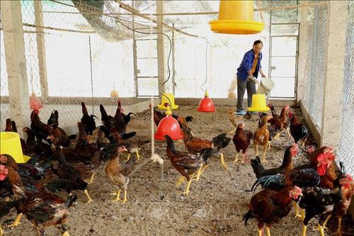 Nhiều sản phẩm chủ lực nâng cao cạnh tranh