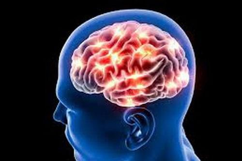 Lý giải hiện tượng não bộ con người phát triển kích thước lớn