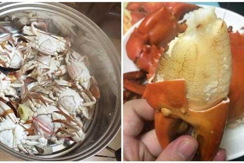 Hấp cua đặt nằm úp hay ngửa để chín đều, thịt ngon ngọt nhất: 99% chị em không biết