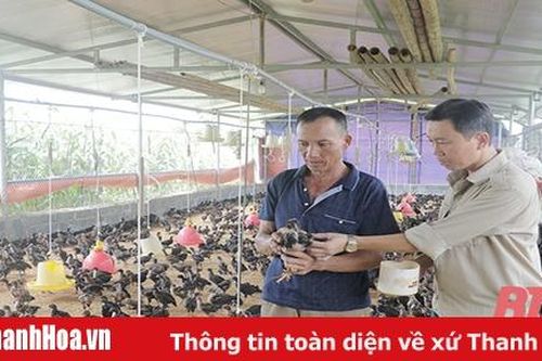Xã Cẩm Tú phát triển kinh tế, nâng cao thu nhập cho người dân