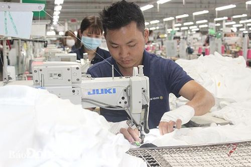 Tỷ lệ giải quyết việc làm cho người lao động giảm 20% so với cùng kỳ năm 2019