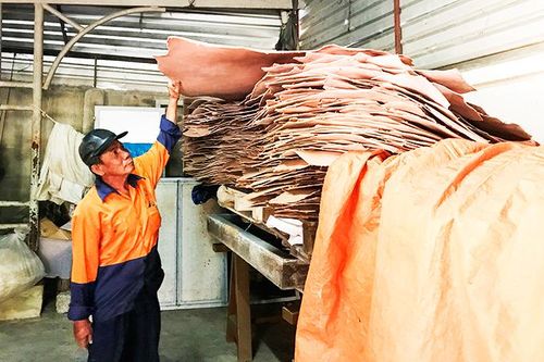 Cải tiến kỹ thuật thuộc da