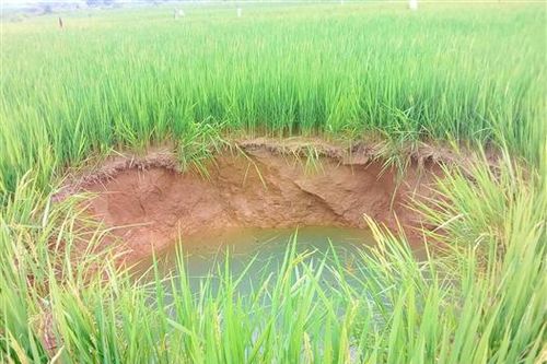Cần xây dựng giải pháp tổng thể ứng phó với tình trạng sụt lún đất ở huyện Cam Lộ