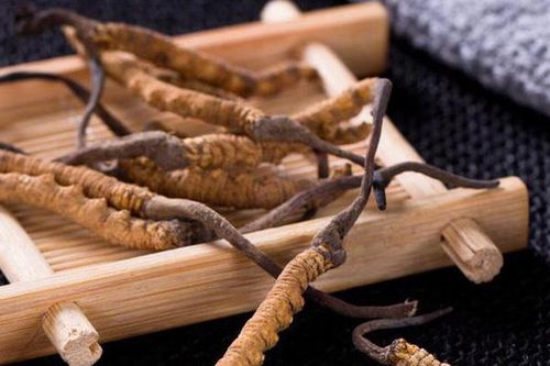 Nghiên cứu quy trình ly trích và xác định hàm lượng Adenosine trong cao ethanol của đông trùng hạ thảo (Cordyceps Militaris) bằng HPLC-PDA