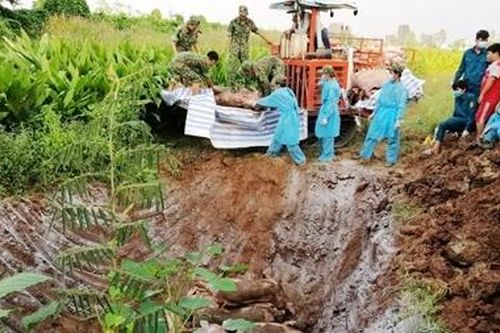 Nạn thẩm lậu lợn 'nóng' trở lại trên tuyến biên giới Tây Nam