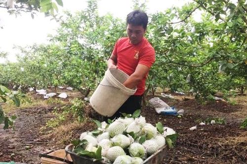 Hiệu quả từ xã hội hóa giảm nghèo ở Mê Linh